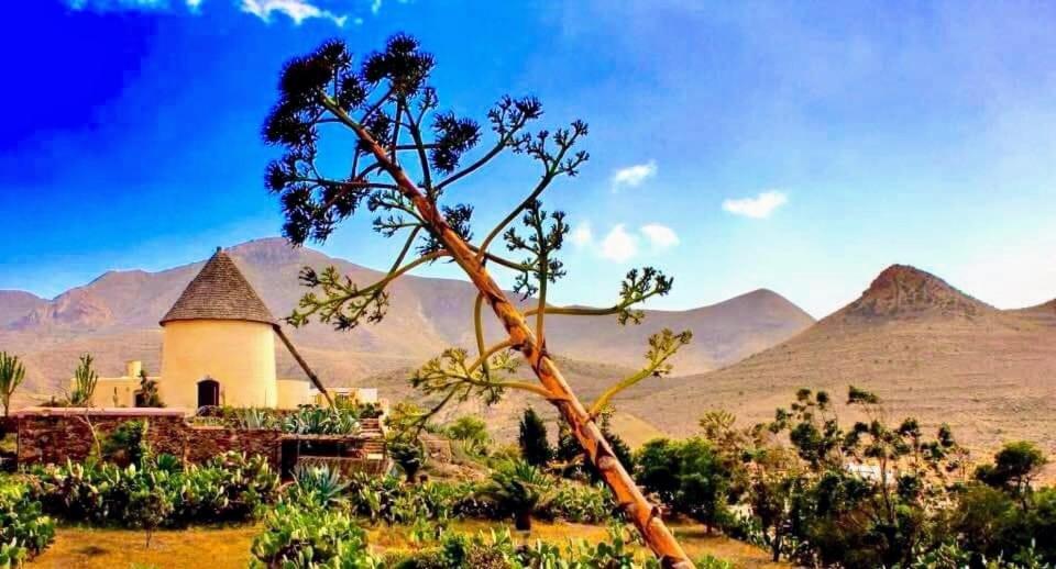 Zaratustra. Rodalquilar Centro. Gran Terra. Wifi Exteriér fotografie